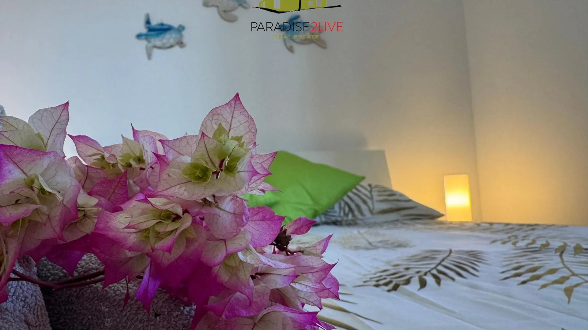 Apartamento El Caballito De Mar Corralejo